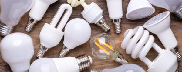 ampoules LED