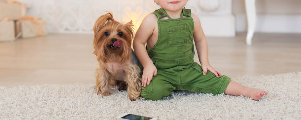 tapis