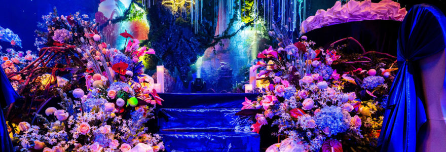 décoration à thème d'Avatar